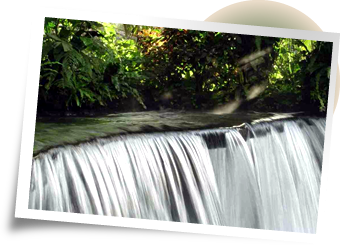 Madeireira em Parauapebas Para | Madeiras Madeireira JM em Parauapebas Pará